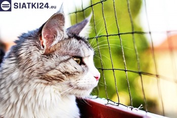 Siatki Morąg - Siatka na balkony dla kota i zabezpieczenie dzieci dla terenów Morąg